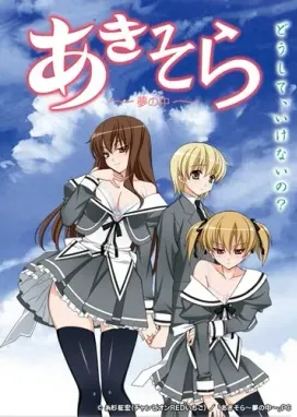 Смотреть аниме онлайн Аки и Сора: Под покровом сна