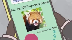 Енотики быстрого реагирования Скриншот 23 эпизод 7
