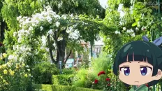 Монолог МаоМао USJ Скриншот 7 эпизод 2