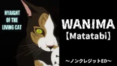 Ночь живых кошаков ED1 «Matatabi» — WANIMA