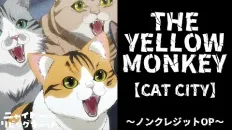 Ночь живых кошаков OP1 «CAT CITY» — THE YELLOW MONKEY
