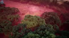 Древнейший боевой дух Скриншот 53 эпизод 11