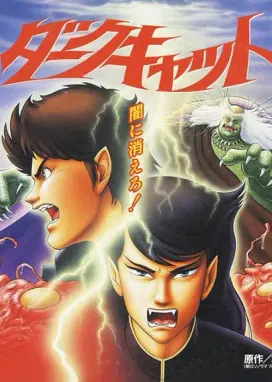 Смотреть аниме онлайн Тёмный кот