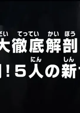 Смотреть аниме онлайн Ван-Пис: Жестокая битва! Пятёрка нового поколения