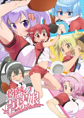 Смотреть аниме онлайн Знойный пинг-понг